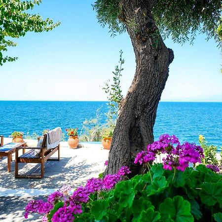 Skala Mare Apartment Skála Marión Екстериор снимка